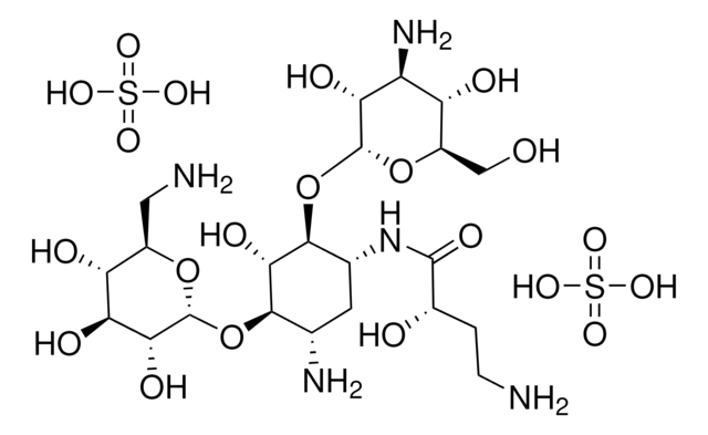 Amikacin for system suitability European Pharmacopoeia (EP) Reference Standard