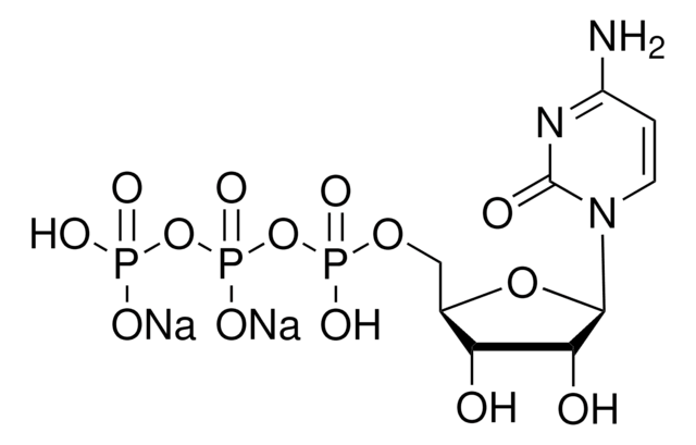 Cytidine 5&#8242;-triphosphate disodium solution HPLC purified, aqueous solution for RNA polymerase transcription