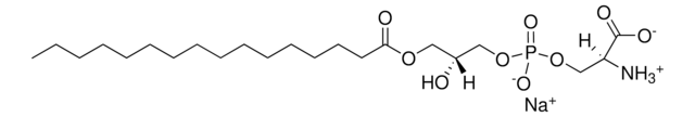 16:0 Lyso PS Avanti Research&#8482; - A Croda Brand