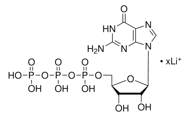 Guanosine 5&#8242;-triphosphate lithium salt ~95% (HPLC), powder