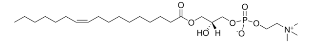 17:1 Lyso PC Avanti Research&#8482; - A Croda Brand LM1601, methanol solution