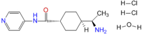 Y-27632 InSolution, &#8805;95%, 10 mM aqueous solution, Sterile-Filtered, inhibitor of Rho-associated protein kinases