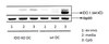 Anti-Ido1, clone 8G11 Antibody clone 8G11, from mouse
