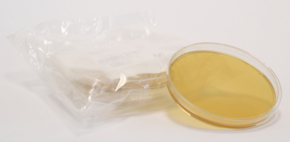 Tryptic Soy Agar - Ready-to-use Settle Plates Histidine, Sodium thiosulfate, Tween&#174;, Lecithin, ICR plate, irradiated, plate diam. 150&#160;mm, suitable for air monitoring